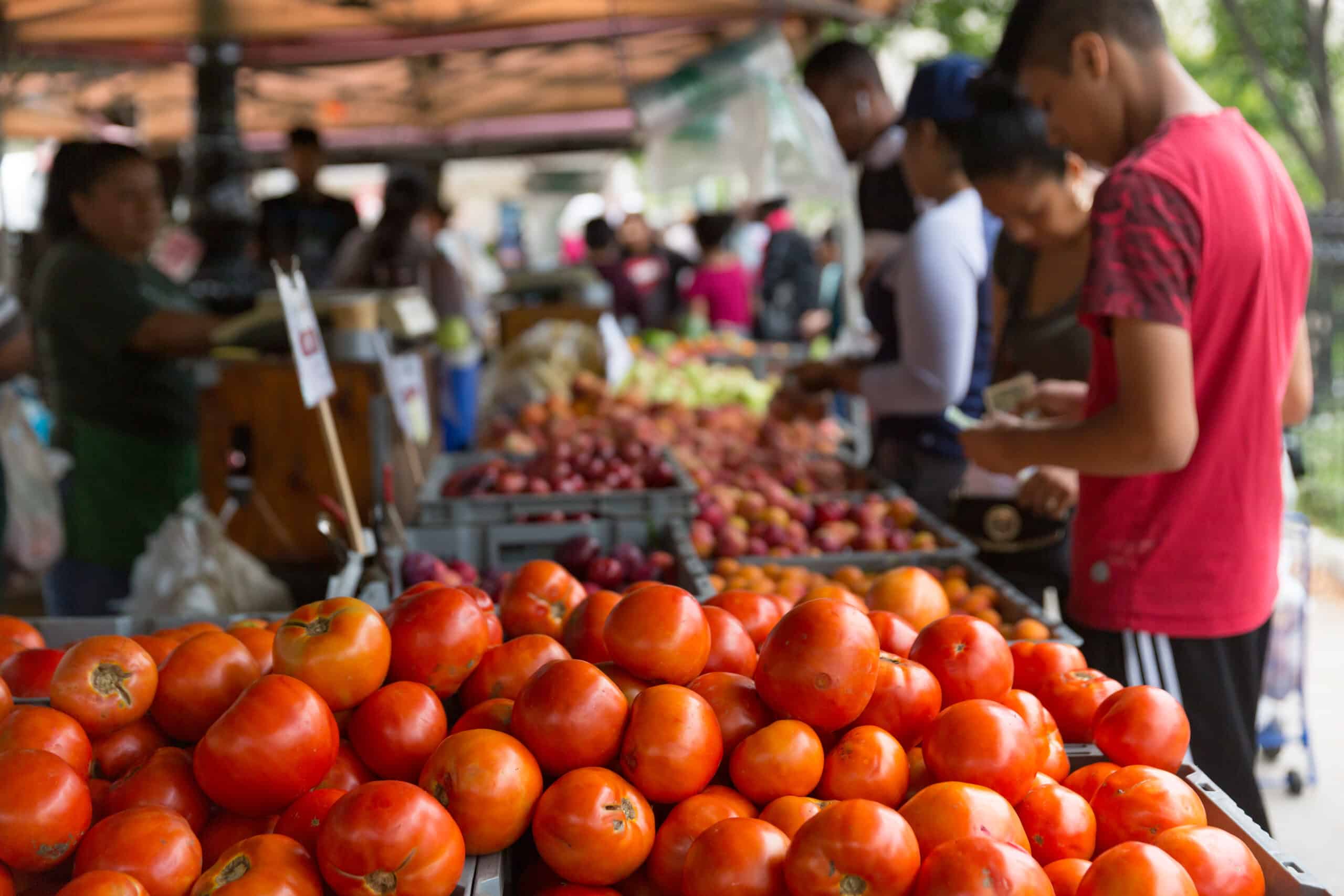 STREET MARKET リトル・モア Bronx Borough Hall Greenmarket - GrowNYC