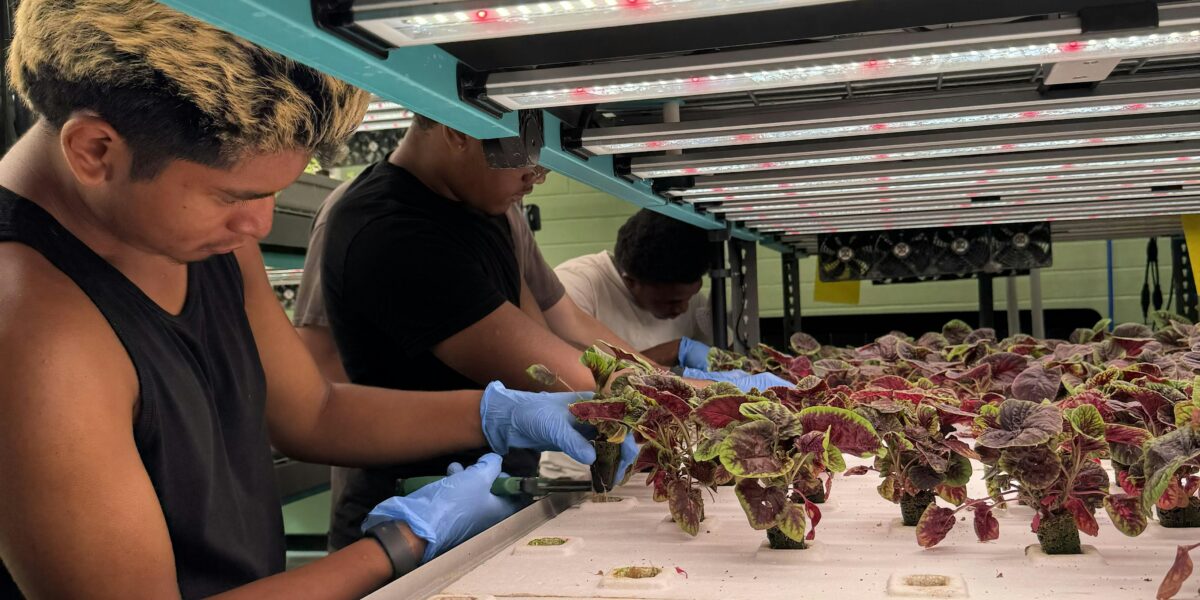 Cultivating Agricultural Literacy